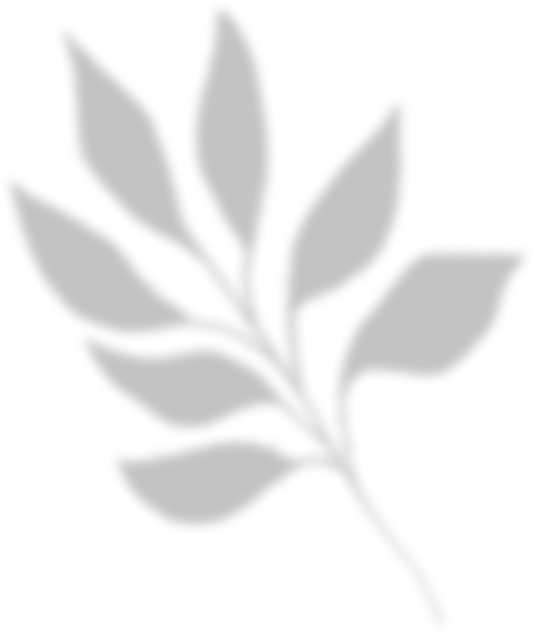 Leaf Shadow Overlay